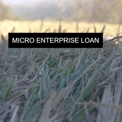 MICRO-ENTERPRISE-LOAN