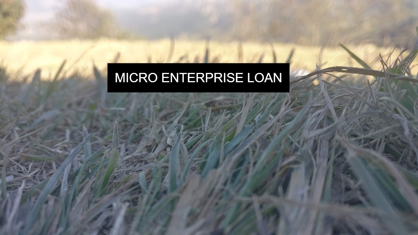 MICRO-ENTERPRISE-LOAN